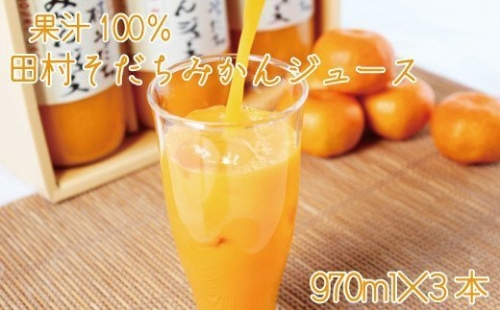果汁100%　田村そだちみかんジュース　970ml×3本 175399 - 和歌山県新宮市