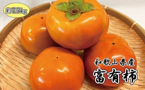 和歌山秋の味覚　富有柿　約7.5kg　※2022年11月上旬頃～2022年12月上旬頃に発送(お届け日指定不可)
