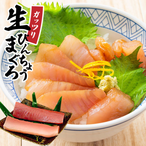 ガッツリ生びんちょうまぐろ　ドカーンと半身分のお刺身用サク 175447 - 和歌山県那智勝浦町