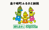 金ケ崎町 ふるさと納税 返礼品なし 【30,000円寄附】