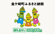 金ケ崎町 ふるさと納税 返礼品なし 【300,000円寄附】