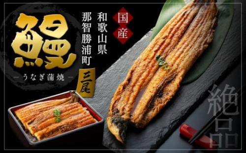 【年内発送/12月15日ご入金確認分まで】【ギフト用】国産活鰻を地元の醤油で仕上げた絶品のうなぎ蒲焼(3尾） 175544 - 和歌山県那智勝浦町