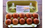 国産飼料にこだわった鶏が産む安全安心の 『レモン色たまご』1パック（10個入り）×6