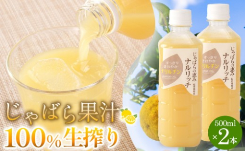 じゃばら果汁100％生搾り2本  [Pn6] 175605 - 和歌山県那智勝浦町
