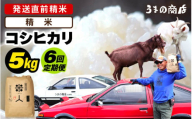【先行予約】【令和7年産・新米】定期便≪6ヶ月連続お届け≫米 コシヒカリ 5kg × 6回定期便【精米】【2025年9月中旬以降順次発送予定】 [m25-g001_01]