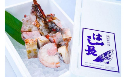 冷凍伊勢海老カット約1kg（サイズ不揃い） 175649 - 和歌山県那智勝浦町