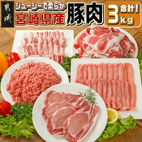 宮崎県産豚肉3kgセット_MJ-M601 1757168 - 宮崎県都城市