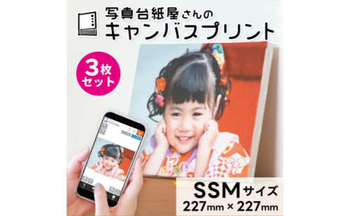 キャンバスプリント SSMサイズ 3枚セット フォト 写真 パネル オーダー 印刷 アート ファブリックパネル インテリア 1757243 - 富山県射水市