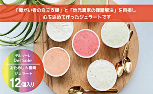 デルソーレ　ジェラート★大人気！旬の6種詰め合せ★（12個入り） セット 袋井市 1757276 - 静岡県袋井市