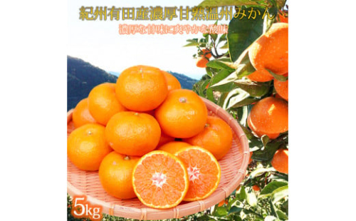 紀州有田産濃厚甘熟温州みかん5kg【2025年11月下旬以降発送】【先行予約】【UT09】 175784 - 和歌山県那智勝浦町