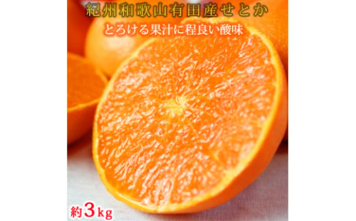 紀州有田産せとか約3kg　とろける食感！ジューシー柑橘［2026年2月下旬以降発送］［先行予約］［UT03］ 175792 - 和歌山県那智勝浦町