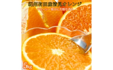 とにかくジューシー清見オレンジ　５kg 175793 - 和歌山県那智勝浦町