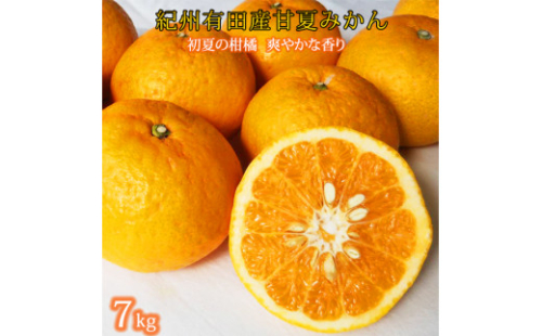 紀州有田産 初夏の柑橘 甘夏みかん 7kg 175797 - 和歌山県那智勝浦町