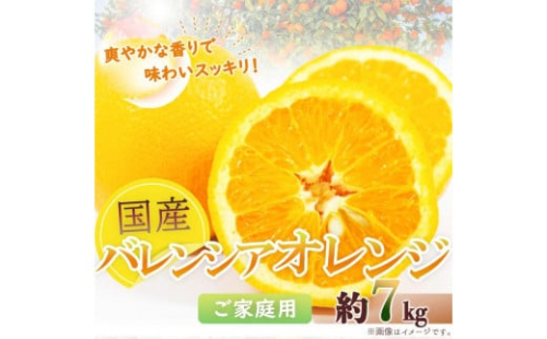 希少な国産バレンシアオレンジ 7kg［ご家庭用訳あり］［2026年6月下旬頃～2026年7月上旬頃に順次発送］［UT77］ 175800 - 和歌山県那智勝浦町