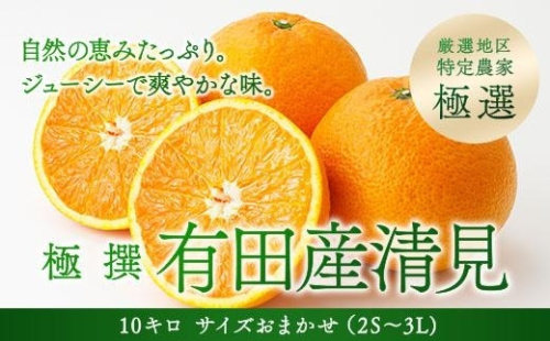 極撰 有田産清見(地区厳選)特撰 5キロ サイズおまかせ(2L~М) 175804 - 和歌山県那智勝浦町