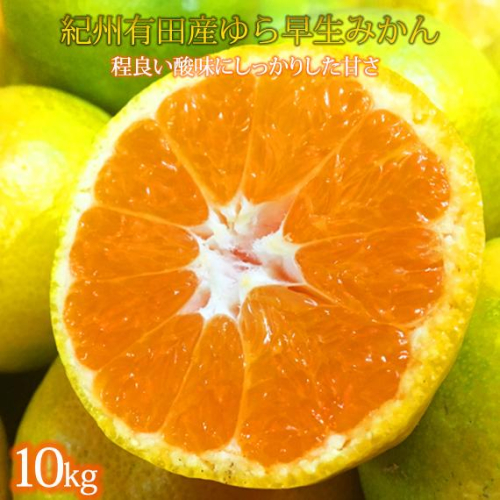紀州和歌山有田産ゆら早生みかん　10kg【2025年発送】【UT33】 175810 - 和歌山県那智勝浦町