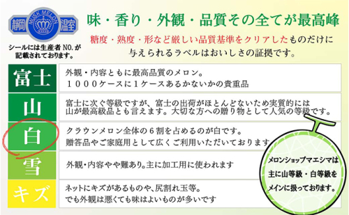 クラウンメロン【並（白等級）】中玉（1.3kg前後）2玉入り 定期便6ヶ月 人気 厳選 ギフト 贈り物 デザート グルメ 果物 袋井市