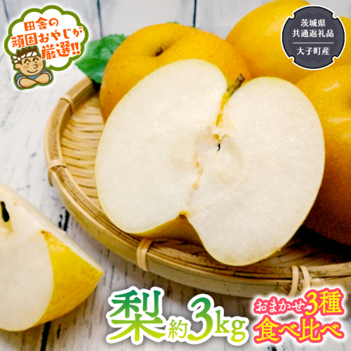 梨 食べ比べ 品種おまかせ3種類 約3kg【2026年8月より発送開始】（茨城県共通返礼品 [梨]：大子町産）田舎の頑固おやじが厳選！ 幸水 豊水 新高 南水 二十世紀 [BI124-NT] 175847 - 茨城県つくばみらい市