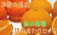 【農家直送】旬の濃厚柑橘詰め合わせセット（ご家庭用）　約4.5kg