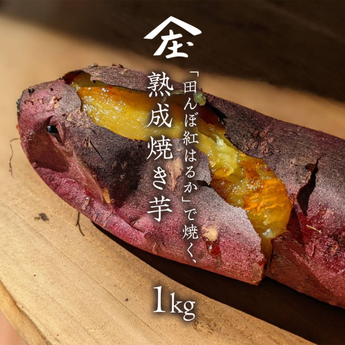 「田んぼ 紅はるか」で焼く、熟成焼き芋 1kg (500g×2梱包) 焼き芋 芋 さつまいも おやつ スイーツ 茨城 庄七農園 [BK22-NT] 1759259 - 茨城県つくばみらい市
