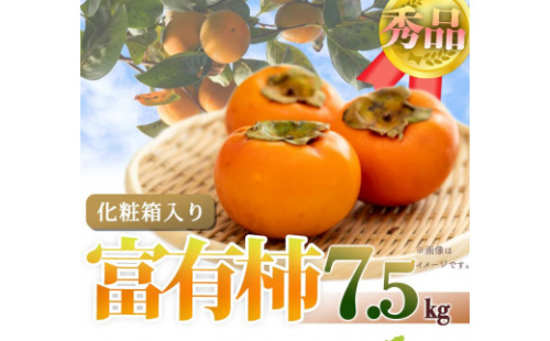 和歌山秋の味覚　富有柿　約７．５ｋｇ「2025年11月上旬以降発送予定」【UT48】 175925 - 和歌山県那智勝浦町