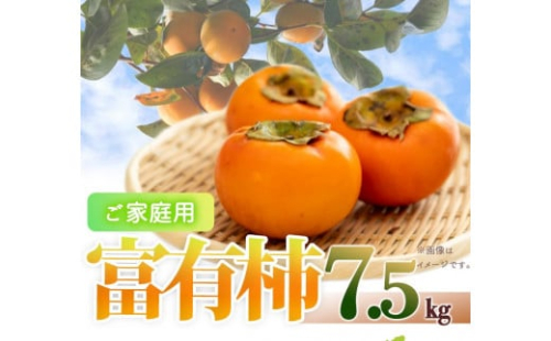 ［ご家庭用わけあり］和歌山秋の味覚　富有柿　約７．５ｋｇ「2026年11月上旬以降発送予定」［UT47］ 175926 - 和歌山県那智勝浦町