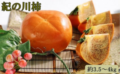 【希少】紀の川柿約3.5～4kg（種無し）秀選品★2026年11月頃より順次発送［TM12］ 175928 - 和歌山県那智勝浦町