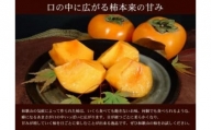 ■和歌山の種なし柿 約7.5kg（秀品：サイズ・品種おまかせ）／紀伊国屋文左衛門本舗