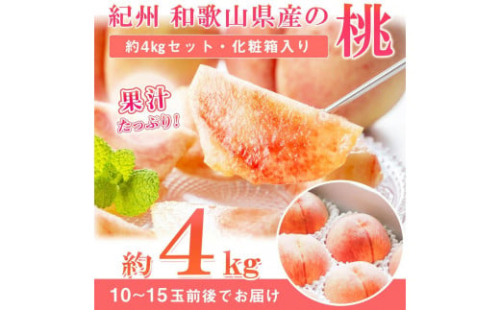 秀品 紀州和歌山産の桃 約4kg　化粧箱入［2026年6月下旬より順次発送］［UT106］ 175933 - 和歌山県那智勝浦町