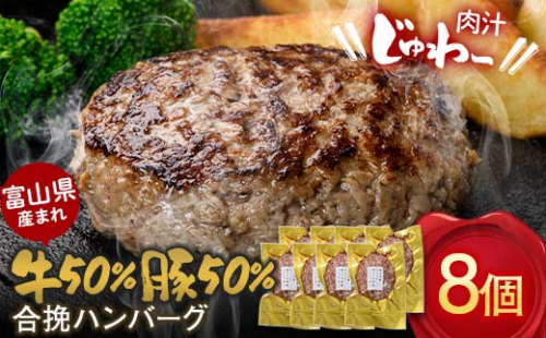 富山県産 牛50％ 豚50％ 合挽ハンバーグ 8個セット カシワファーム 和牛 牛肉 おかず 惣菜 時短 冷凍 富山県 立山町 F6T-553 1759427 - 富山県立山町