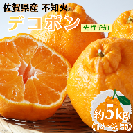 【先行予約】佐賀みかん デコポン【不知火】：B195-006