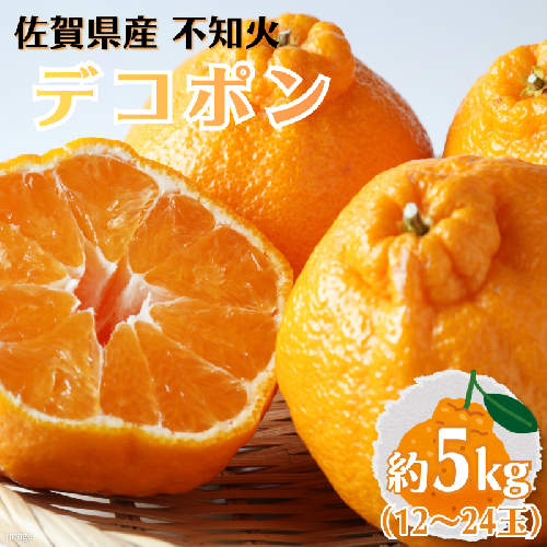 佐賀みかん デコポン【不知火】：B195-006 1759506 - 佐賀県佐賀市