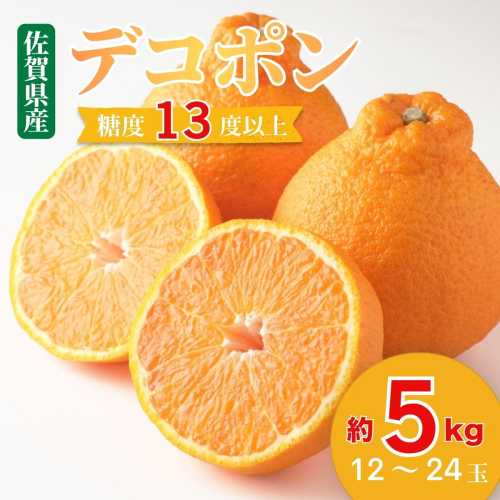 【先行予約】佐賀みかん デコポン【不知火】：B195-006 1759506 - 佐賀県佐賀市