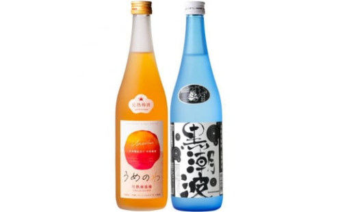 焼酎 黒潮波（くろしおなみ）720mlと紀州完熟南高梅「梅酒」720mlの2本セット【TM19】 175969 - 和歌山県那智勝浦町