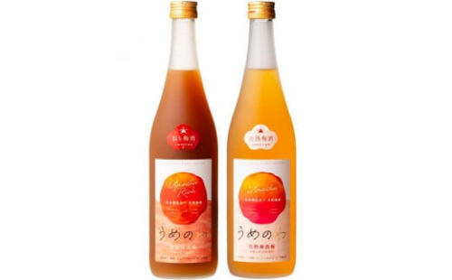 【紀州完熟南高梅使用】濃厚「ねり梅酒」と芳醇「梅酒」各720mlの飲み比べ【TM18】 175972 - 和歌山県那智勝浦町