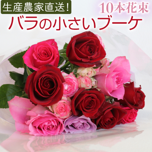 生産農家直送！バラの小さいブーケ 10本セット ※沖縄・離島への配送不可| バラ 薔薇 ばら 花束 花 ブーケ 家庭用 プチギフト 古河ブランド _AL05 1761369 - 茨城県古河市