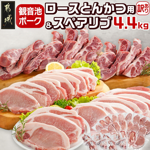 観音池ポークロースとんかつ用【訳あり】&スペアリブ4.4kg_AC-9219 1761545 - 宮崎県都城市