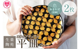 温かみの感じられるスリップウェアの７寸平皿です。色味は何が届くかお楽しみです。スリップウェアとはヨーロッパなど世界各地で見られた、古い時代の陶器の一種です。器の表面をスリップと呼ばれる泥漿(でいしょう