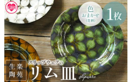 温かみの感じられるスリップウェアの７寸リム皿です。色味は何が届くかお楽しみです。リム（縁）があるので持ちやすく、お料理をたくさん盛り付けても映えます。スリップウェアとはヨーロッパなど世界各地で見られた