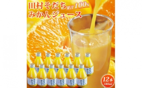 果汁100%　田村そだちみかんジュース　180ml×12本 176191 - 和歌山県那智勝浦町