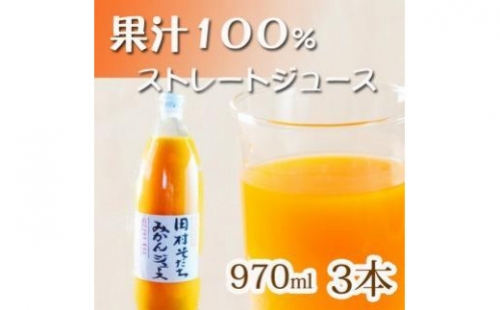 果汁100%　田村そだちみかんジュース　970ml×3本 176192 - 和歌山県那智勝浦町