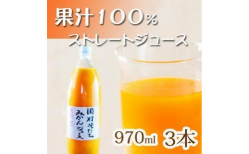 果汁100%　田村そだちみかんジュース　970ml×3本 176192 - 和歌山県那智勝浦町