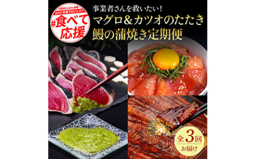t129kyf-kgp　コロナ支援事業者さんを救いたい3か月定期便／1回目：マグロの漬け丼、2回目：芸西村本気極カツオのたたき（2～3人前）×2節、銀象ソルト+有機無添加土佐にんにくぬた、3回目：本気の高知ブランド鰻「西岡うなぎ」～並～うなぎの蒲焼き2尾セット（約250g） 176246 - 高知県芸西村