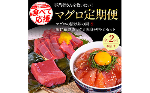 t128kyf-kgp　事業者さんを救いたいマグロ2ヶ月定期便／1回目：マグロの漬け丼、2回目：塩昆布14日間熟成マグロ赤身＆中トロセット 176247 - 高知県芸西村
