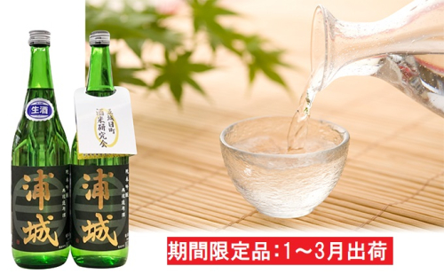 無濾過本生原酒「浦城」720ml×2本 純米吟醸 お酒 純米吟醸酒 期間限定 純米吟醸無濾過 日本酒  176262 - 秋田県五城目町