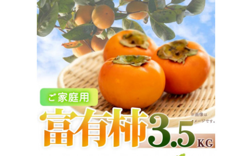 ［ご家庭用わけあり］和歌山秋の味覚　富有柿　約3．５ｋｇ　「2026年11月上旬以降発送予定」［UT51］ 176278 - 和歌山県那智勝浦町