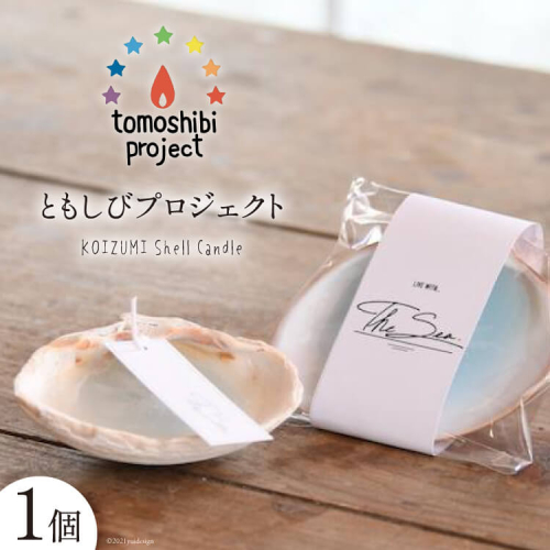 気仙沼の海をイメージしたキャンドル KOIZUMI Shell Candle 1個 [Nr.12（ともしびプロジェクト） 宮城県 気仙沼市 20563585] キャンドル 可愛い かわいい カワイイ 176294 - 宮城県気仙沼市