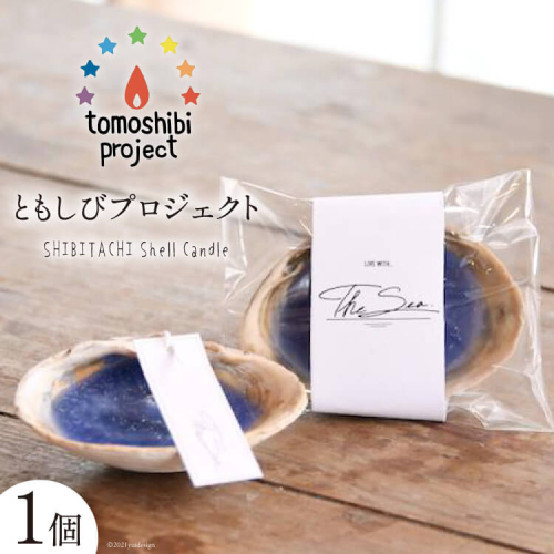 気仙沼の海をイメージしたキャンドル SHIBITACHI Shell Candle 1個 [Nr.12（ともしびプロジェクト） 宮城県 気仙沼市 20563588] キャンドル 可愛い かわいい カワイイ 176305 - 宮城県気仙沼市