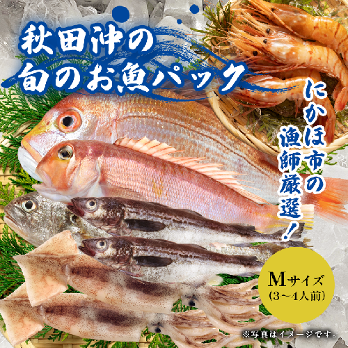 にかほ市の漁師厳選！秋田沖の旬のお魚パック！（Mサイズ・3～4人前） 魚介類 直送 新鮮 詰め合わせ  176313 - 秋田県にかほ市