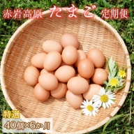 【定期便】赤岩高原たまご 40個×6か月 240個（特選） 卵 タマゴ ML サイズ【送料無料】